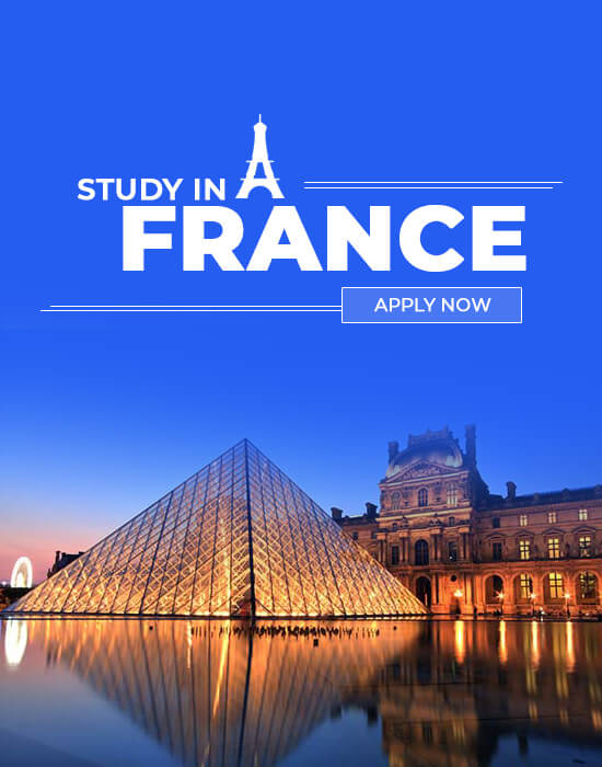 Study In France