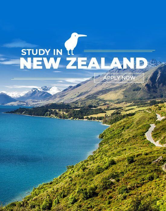 Study In New Zealand